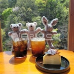 카페, cafe, coffee, 디저트, 치즈케이크, 사진,이미지,일러스트,캘리그라피 - jcs1546작가 크라우드픽 - 저작권 걱정 없는 상업용 이미지