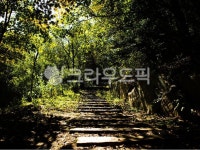 계단, 길, 보도, 산책로, 숲, 사진,이미지,일러스트,캘리그라피 - 애롱작가 크라우드픽 - 저작권 걱정 없는 상업용 이미지