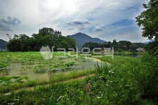 마제옛길, 다산길, 남양주, 팔당호, 전원, 사진,이미지,일러스트,캘리그라피 - Deep bLUE작가 크라우드픽 - 저작권 걱정 없는 상업용 이미지