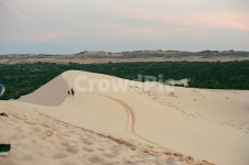 사막, 화이트샌드, soil, sand, 모래, 사진,이미지,일러스트,캘리그라피 - 띠내필름작가 크라우드픽 - 저작권 걱정 없는 상업용 이미지