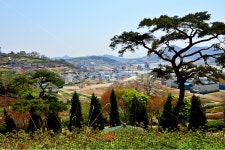 전남, 영광, 법성포, 숲쟁이, 숲쟁이마을, 사진,이미지,일러스트,캘리그라피 - 영산공작가 크라우드픽 - 저작권 걱정 없는 상업용 이미지