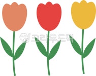 꽃, 식물, 잎, flower, 튤립, 사진,이미지,일러스트,캘리그라피 - kimye83작가 크라우드픽 - 저작권 걱정 없는 상업용 이미지