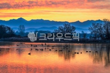 여명, 일출, 오리, 산, 반영, 사진,이미지,일러스트,캘리그라피 - 호산 (Hosan)작가 크라우드픽 - 저작권 걱정 없는 상업용 이미지