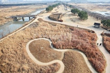 시흥갯골생태공원, 갈대, 억새, 공원, 식물, 사진,이미지,일러스트,캘리그라피 - 함께사는세상작가 크라우드픽 - 저작권 걱정 없는 상업용 이미지