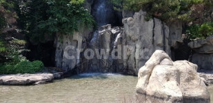 도화동, 수봉공원, 나무, 길, 인천, 사진,이미지,일러스트,캘리그라피 - 피오나작가 크라우드픽 - 저작권 걱정 없는 상업용 이미지