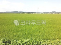 nature, 자연, field, 들, grassland, 사진,이미지,일러스트,캘리그라피 - 태인아빠작가 크라우드픽 - 저작권 걱정 없는 상업용 이미지