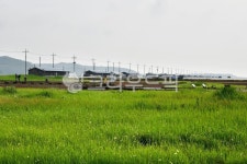 nature, 자연, outdoors, 옥외, 신안증도태평염전, 사진,이미지,일러스트,캘리그라피 - 영산공작가 크라우드픽 - 저작권 걱정 없는 상업용... 