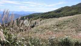 억새, 등산, 하늘, 구름, 산, 사진,이미지,일러스트,캘리그라피 - joongwon90작가 크라우드픽 - 저작권 걱정 없는 상업용 이미지