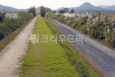 순천만습지, 순천만갈대길, 순천만, 낭파랑길61코스, 갈대, 사진,이미지,일러스트,캘리그라피 - Deep bLUE작가 크라우드픽 - 저작권 걱정 없는... 
