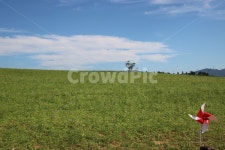 들, 목초지, farm, 농장, 바람개비, 사진,이미지,일러스트,캘리그라피 - Nchang7905작가 크라우드픽 - 저작권 걱정 없는 상업용 이미지