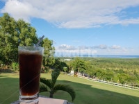 커피, 아메리카노, 카페, 정원, 하늘, 사진,이미지,일러스트,캘리그라피 - 노루작가 크라우드픽 - 저작권 걱정 없는 상업용 이미지