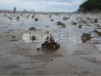갯벌, 모래사장, 해수욕장, 바다, 해변, 사진,이미지,일러스트,캘리그라피 - Nleeskyjj작가 크라우드픽 - 저작권 걱정 없는 상업용 이미지