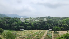 미니농장, farm, 자연, 옥외, 목장, 사진,이미지,일러스트,캘리그라피 - Straw memory작가 크라우드픽 - 저작권 걱정 없는 상업용 이미지