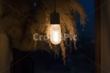 조명, 감성, 분위기, 전구, 빛, 사진,이미지,일러스트,캘리그라피 - 모운작가 크라우드픽 - 저작권 걱정 없는 상업용 이미지