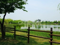 공원, park, 산책로, 저수지, 연못, 사진,이미지,일러스트,캘리그라피 - 다봉89작가 크라우드픽 - 저작권 걱정 없는 상업용 이미지