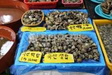 조개, 동물, 해양생물, 수산시장, 무척추동물, 사진,이미지,일러스트,캘리그라피 - 여행토끼작가 크라우드픽 - 저작권 걱정 없는 상업용 이미지