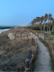 제주도, 제주, 바다, 해질녘, 산책로, 사진,이미지,일러스트,캘리그라피 - photo92작가 크라우드픽 - 저작권 걱정 없는 상업용 이미지