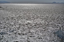 뻘, 서해, 갯벌, 썰물, 선재도, 사진,이미지,일러스트,캘리그라피 - Deep bLUE작가 크라우드픽 - 저작권 걱정 없는 상업용 이미지