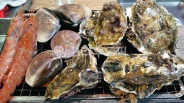 조개구이, 해물, 음식, 굴구이, 해산물, 사진,이미지,일러스트,캘리그라피 - ujubank24h작가 크라우드픽 - 저작권 걱정 없는 상업용 이미지