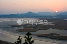 순천, 순천만, 순천만습지, 순천만용산전망대, 용산전망대, 사진,이미지,일러스트,캘리그라피 - Nbjaru작가 크라우드픽 - 저작권 걱정 없는... 