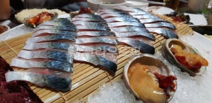 고등어회, 회, 횟집, 해산물, 고등어, 사진,이미지,일러스트,캘리그라피 - Ngstaehoon작가 크라우드픽 - 저작권 걱정 없는 상업용 이미지