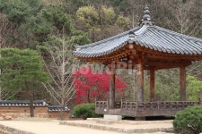 정자, 한옥, 식물, 나무, 건축물, 사진,이미지,일러스트,캘리그라피 - johnnieploem작가 크라우드픽 - 저작권 걱정 없는 상업용 이미지