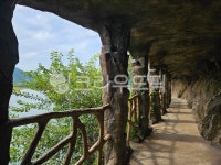 동굴, 여름, 성류굴, 나무, 자연, 사진,이미지,일러스트,캘리그라피 - kkang15708작가 크라우드픽 - 저작권 걱정 없는 상업용 이미지