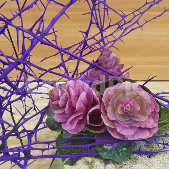 ��, �����, ���ʲɲ���, ��������, ����ǰ, ����,�̹���,�Ϸ���Ʈ,Ķ���׶��� - �÷ζ�21�۰� ũ������ - ���۱� ���� ���� ����� �̹���