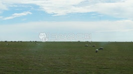 세븐시스터즈, 영국, 필드, 동물, 옥외, 사진,이미지,일러스트,캘리그라피 - 추니춘춘작가 크라우드픽 - 저작권 걱정 없는 상업용 이미지