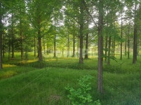 경주, 야생화원, 식물, 초목, plant, 사진,이미지,일러스트,캘리그라피 - 위너빈작가 크라우드픽 - 저작권 걱정 없는 상업용 이미지