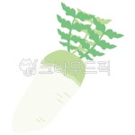 무, 야채, 채소, 뿌리채소, 무우, 사진,이미지,일러스트,캘리그라피 - 베스트작가작가 크라우드픽 - 저작권 걱정 없는 상업용 이미지