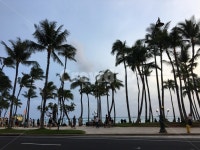 하와이, 여행, 휴가, 선셋, 바다, 사진,이미지,일러스트,캘리그라피 - 라이즈썬작가 크라우드픽 - 저작권 걱정 없는 상업용 이미지