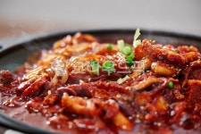 낙지, 오징어, 주꾸미, 쭈꾸미, 삼겹살, 사진,이미지,일러스트,캘리그라피 - brand1st작가 크라우드픽 - 저작권 걱정 없는 상업용 이미지