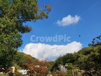 outdoors, 옥외, nature, 자연, 뭉개구름, 사진,이미지,일러스트,캘리그라피 - 지회장작가 크라우드픽 - 저작권 걱정 없는 상업용 이미지