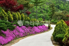 봄, 계절, 감성, 배경, 색감, 사진,이미지,일러스트,캘리그라피 - 영산공작가 크라우드픽 - 저작권 걱정 없는 상업용 이미지