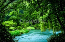 숲, 물, 호수, 숲속, 여름, 사진,이미지,일러스트,캘리그라피 - 1up 미션작가 크라우드픽 - 저작권 걱정 없는 상업용 이미지