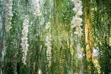 인공, 인공자연, 전시, 꽃, 아카시아, 사진,이미지,일러스트,캘리그라피 - 마주작가 크라우드픽 - 저작권 걱정 없는 상업용 이미지