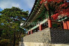 숙정문, 한양도성, 성문, 성곽, 한국, 사진,이미지,일러스트,캘리그라피 - 드래곤볼작가 크라우드픽 - 저작권 걱정 없는 상업용 이미지