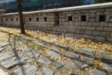 소월로, 은행나무, 낙엽, 가을, 길, 사진,이미지,일러스트,캘리그라피 - oldnwise작가 크라우드픽 - 저작권 걱정 없는 상업용 이미지