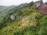 nature, 자연, outdoors, 옥외, 성산일출봉, 사진,이미지,일러스트,캘리그라피 - 예혜준작가 크라우드픽 - 저작권 걱정 없는 상업용 이미지