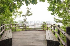 북한산, 둘레길전망대, 전망대, 아파트전경, tree, 사진,이미지,일러스트,캘리그라피 - 리일리작가 크라우드픽 - 저작권 걱정 없는 상업용 이미지