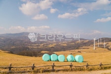 nature, 자연, outdoors, 목장, 초원, 사진,이미지,일러스트,캘리그라피 - 취미사진가 나라작가 크라우드픽 - 저작권 걱정 없는 상업용 이미지