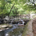 선운사, 선운산도립공원, 자연, 산책로, nature, 사진,이미지,일러스트,캘리그라피 - 닝닝2작가 크라우드픽 - 저작권 걱정 없는 상업용 이미지