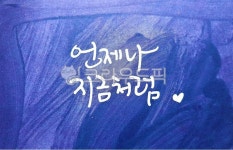 캘리그라피, 캘리그래피, 언제나지금처럼, calligraphy, calli, 사진,이미지,일러스트,캘리그라피 - 꽁이니작가 크라우드픽 - 저작권 걱정... 