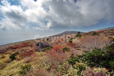 한라산, 남벽분기점, 돈내코코스, 제주도, 한라산국립공원, 사진,이미지,일러스트,캘리그라피 - Deep bLUE작가 크라우드픽 - 저작권 걱정 없는... 