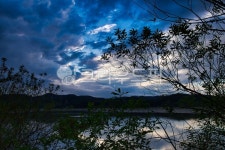 창녕, 우포늪, 늪지, 늪, 습지, 사진,이미지,일러스트,캘리그라피 - duk32작가 크라우드픽 - 저작권 걱정 없는 상업용 이미지