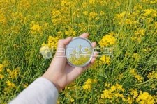 field, 들, outdoors, 옥외, nature, 사진,이미지,일러스트,캘리그라피 - 가욤작가 크라우드픽 - 저작권 걱정 없는 상업용 이미지
