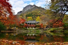 전남, 장성, 북하면, 백양사, 연못, 사진,이미지,일러스트,캘리그라피 - 영산공작가 크라우드픽 - 저작권 걱정 없는 상업용 이미지