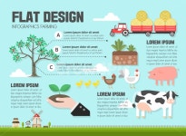 농장, 돼지, 닭, 병아리, 젖소, 사진,이미지,일러스트,캘리그라피 - DAWOOL작가 크라우드픽 - 저작권 걱정 없는 상업용 이미지