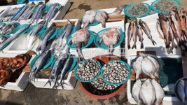 해산물, 수산물, 수산시장, 시장, 노점시장, 사진,이미지,일러스트,캘리그라피 - 연두빛사랑찾아작가 크라우드픽 - 저작권 걱정 없는 상업용 이미지